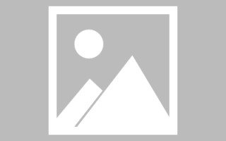 范县斑马网站高清素材视频（斑马视频最新版）